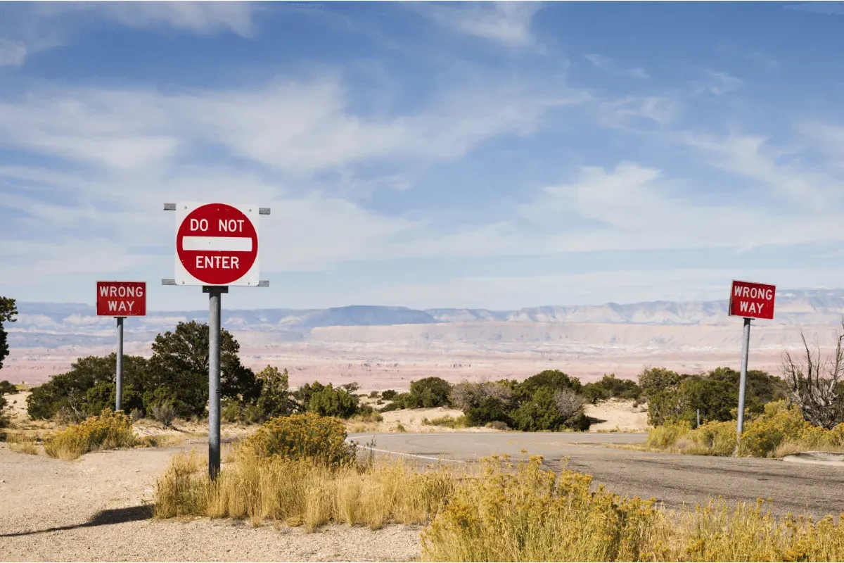 A roadside view features a prominent "DO NOT ENTER" sign and two "WRONG WAY" signs placed along a desert highway overlooking a vast canyon under a partly cloudy sky.